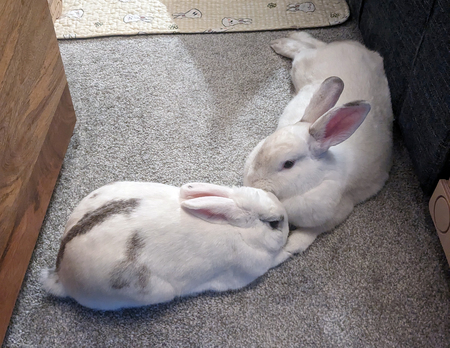 Monty & Lia