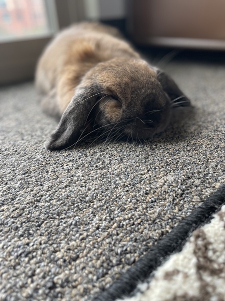 Ebony aka "Bon-Bon"