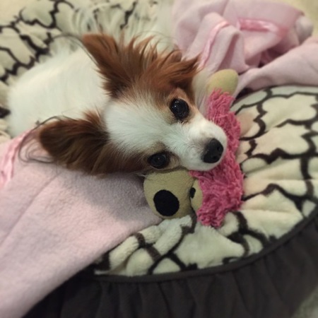 Heidi