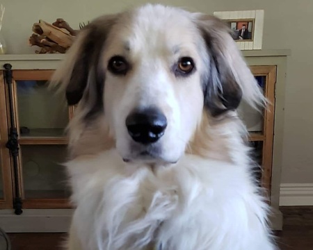Graham