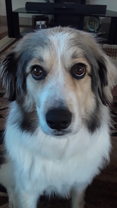 Jenny
