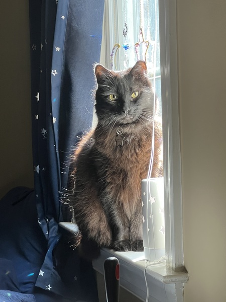 Sebastian
