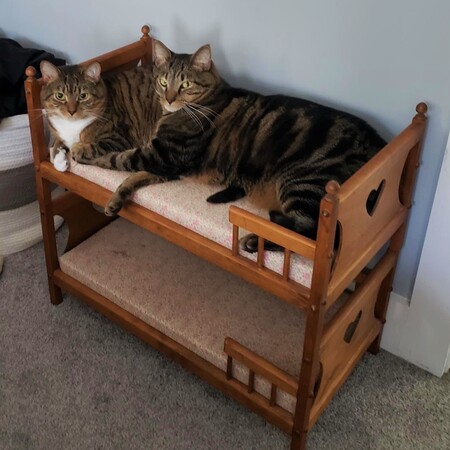 Benny & Spokes