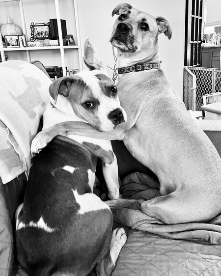 Josie and Skye