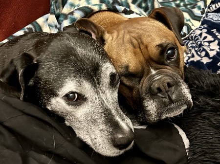 Mimi and Luc