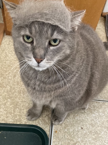 Mr. Gray