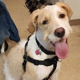 Entry image for Duncan