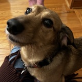 Entry image for Harry