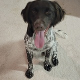 Entry image for Xena