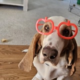 Entry image for Luke