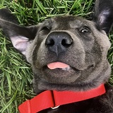 Entry image for Mick Sonic