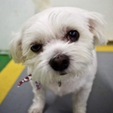 Entry image for Alison