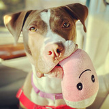 Entry image for Mooka