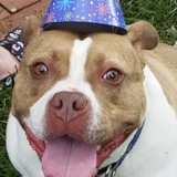 Entry image for Maven Ann