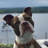 Entry image for Brooks