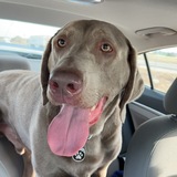 Entry image for Duke