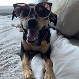 Entry image for Bailey