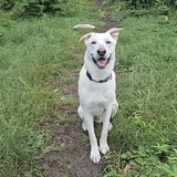 Entry image for Edwin