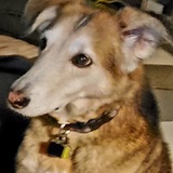 Entry image for Stosh