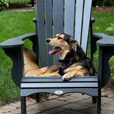 Entry image for Liam