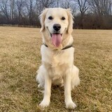 Entry image for Luna