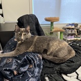 Entry image for Maxx