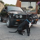 Entry image for Smokey