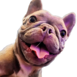 Entry image for Frankie