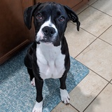 Entry image for Judith June 