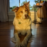 Entry image for Porter