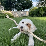 Entry image for Lumi