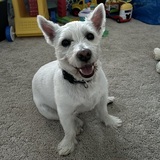 Entry image for Gunner