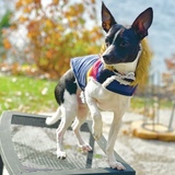 Entry image for Nash