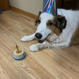 Entry image for Beau 