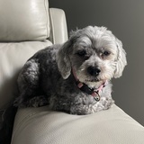 Entry image for Lucky