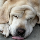 Entry image for Fred