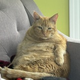 Entry image for Sunshine