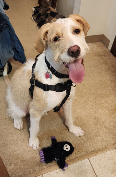 Entry image for Duncan. Clicking this image will show a larger photo