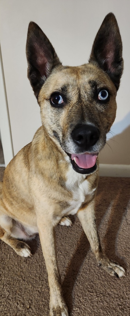 Entry image for Kai. Clicking this image will show a larger photo