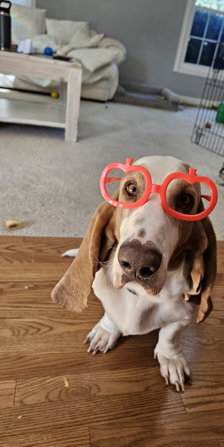 Entry image for Luke. Clicking this image will show a larger photo