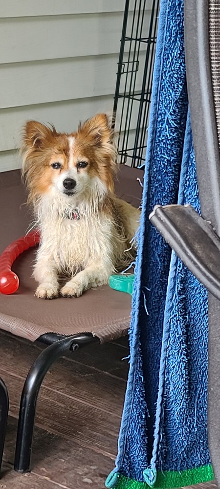 Entry image for SuzieQ. Clicking this image will show a larger photo