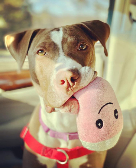 Entry image for Mooka. Clicking this image will show a larger photo