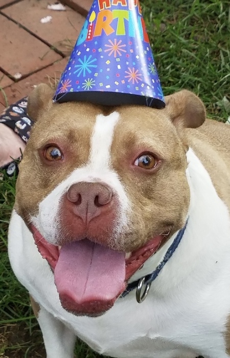 Entry image for Maven Ann. Clicking this image will show a larger photo