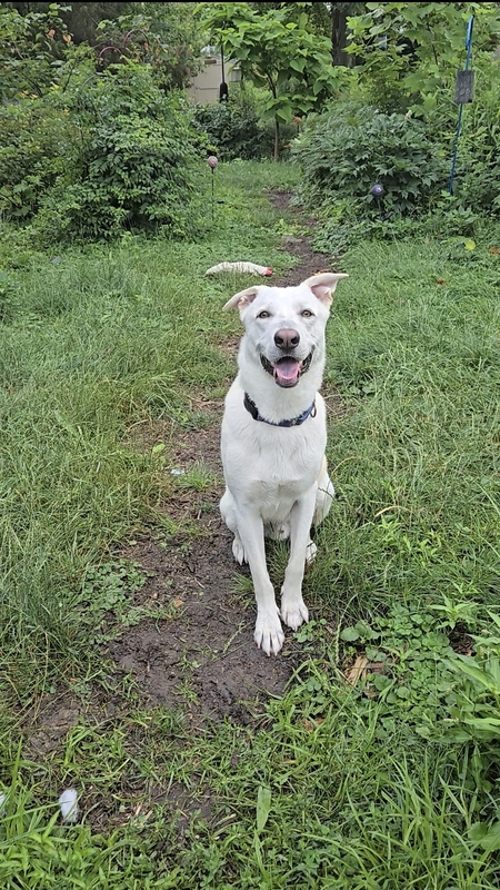 Entry image for Edwin. Clicking this image will show a larger photo