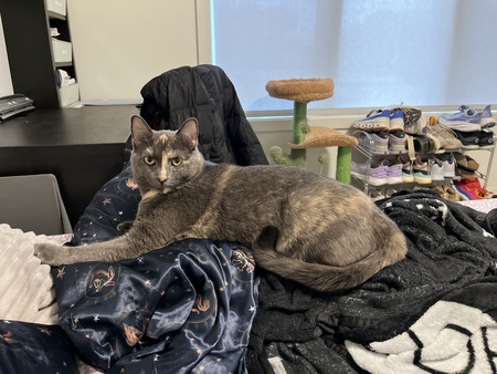 Entry image for Maxx. Clicking this image will show a larger photo