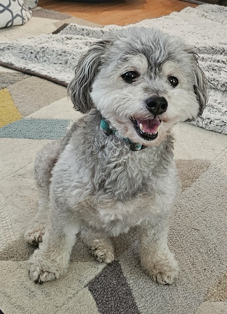 Entry image for Hank. Clicking this image will show a larger photo