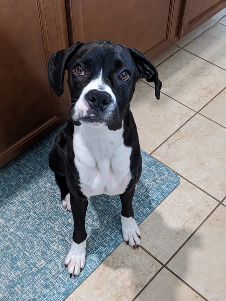 Entry image for Judith June . Clicking this image will show a larger photo