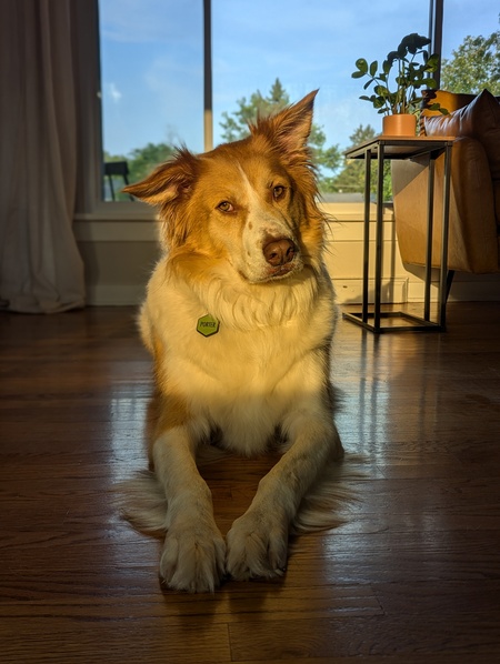 Entry image for Porter. Clicking this image will show a larger photo