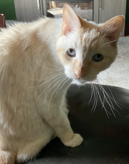 Entry image for Bender. Clicking this image will show a larger photo