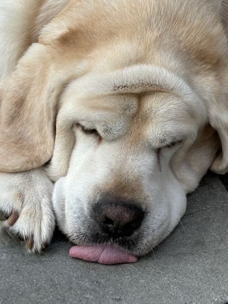 Entry image for Fred. Clicking this image will show a larger photo